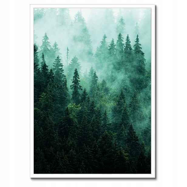 Plakát v bílém rámu 50x70 Les Mlha Krajina Cestování