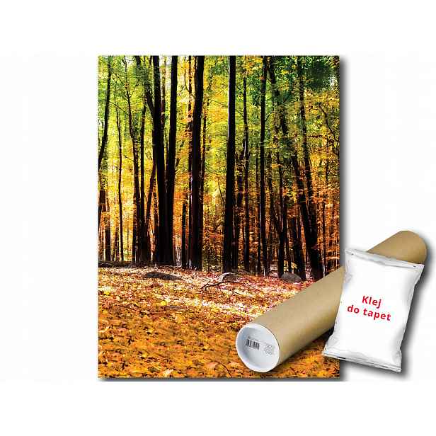 Fototapeta Les Podzim 19A Panxl 206x275 F1220