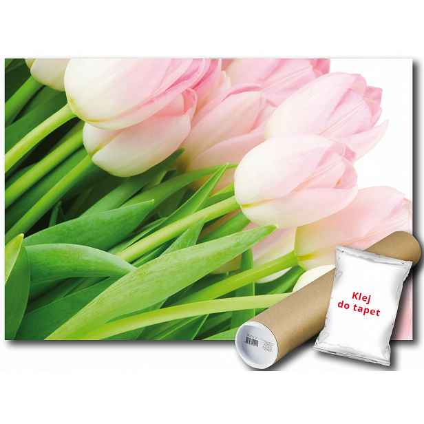 Fototapeta Růžové Tulipány 9C V4 254x184 F8-018