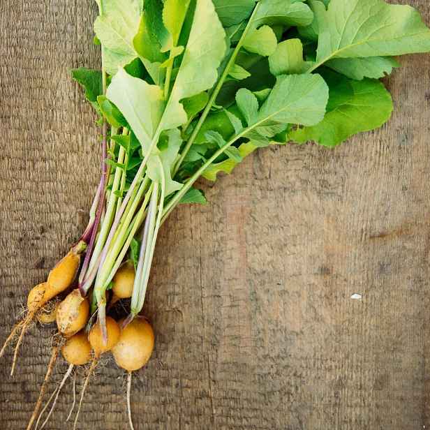 Culina Botanica Ředkvička žlutá Zlata