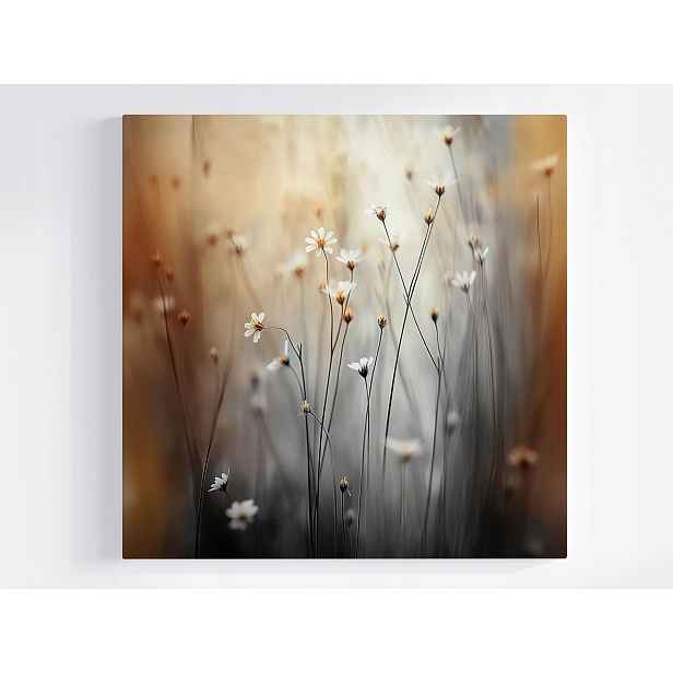 Obraz Na Plátně Canvas Ráno Louka Květiny Sedmikrásky Heřmánek Bokeh 50x50