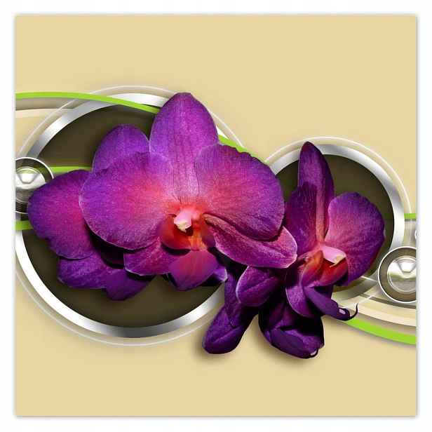 Plakáty 140x140 Orchideje