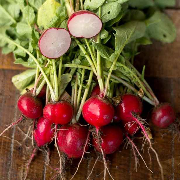 Culina Botanica Ředkvička Cherry Belle