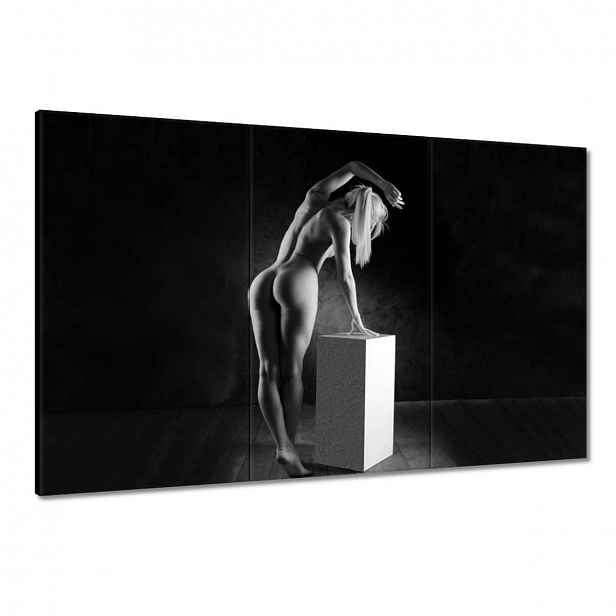 Obrazy 120x80 Žena Akt Černobílý
