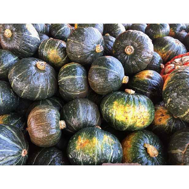 Dýně Kabocha Buttercup