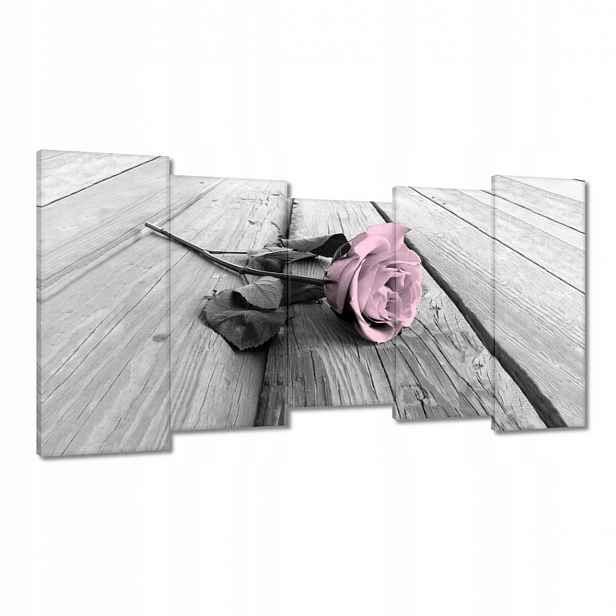 Obrazy 150x80 Pudrová růžová Old pink Rose