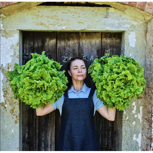 Culina Botanica Salát Americký Simson