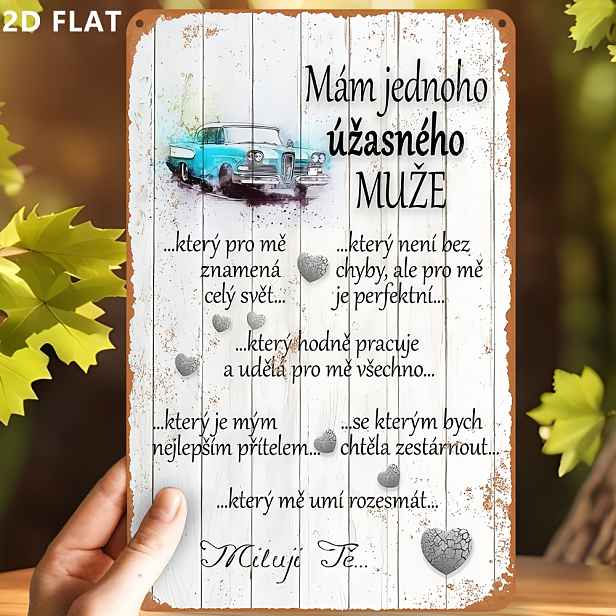 TEMU 2D Plochý, 1 ks - Retro Kovová Cedule s Kovovým Uměleckým Dílem, Ideální pro Retro Nástěnnou Dekoraci, Ozdobu Garáže, Rozměry 30,48 x 20,32 cm,