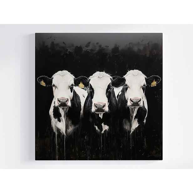 Obraz Na Plátně Canvas Tři Krávy Černobílá Zvířata Farma 60x60