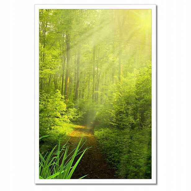 Plakáty v rámu 40x60 Kouzelný les Krajina