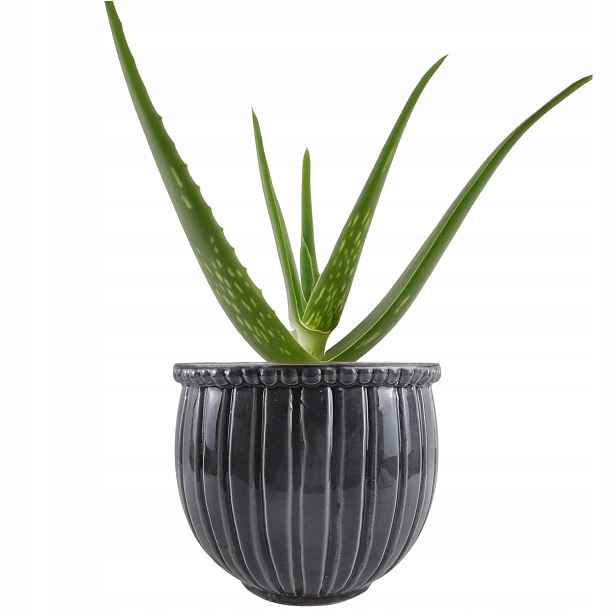 Květináč Kulatý 21 cm kameninová glazura šedá velký obal na bonsaje aloe