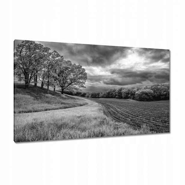 Obrazy 120x70 Černobílé pole