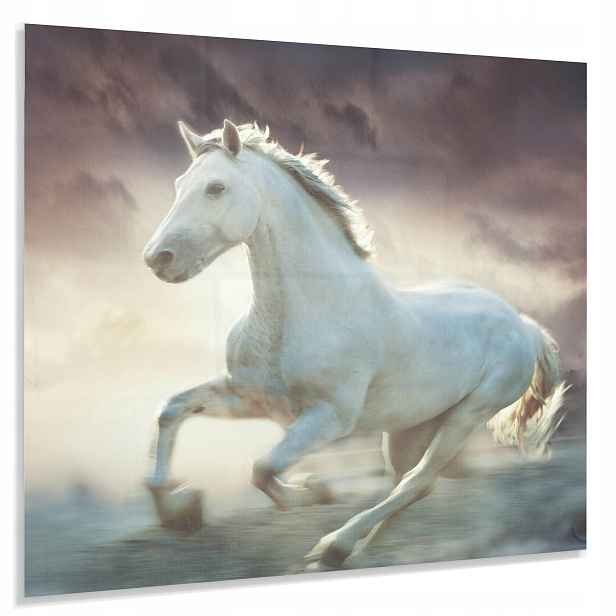 Tvrzený Panel 4mm 60x65cm Ochranný Dekorativní Lacobel Do Kuchyně