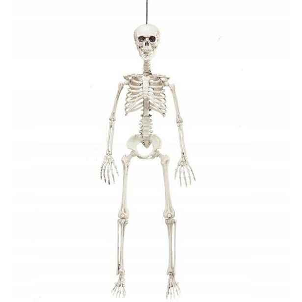 Kostlivec 90 CM Halloweenská Dekorace