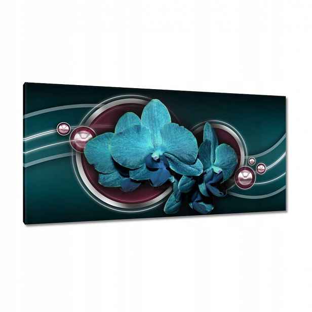 Obrazy 115x55 Modrý orchidej
