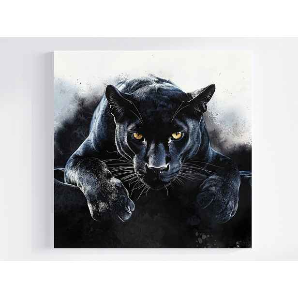 Obraz Na Plátně Plátno Natura Portét Černá Kočka Puma Dravec 50x50