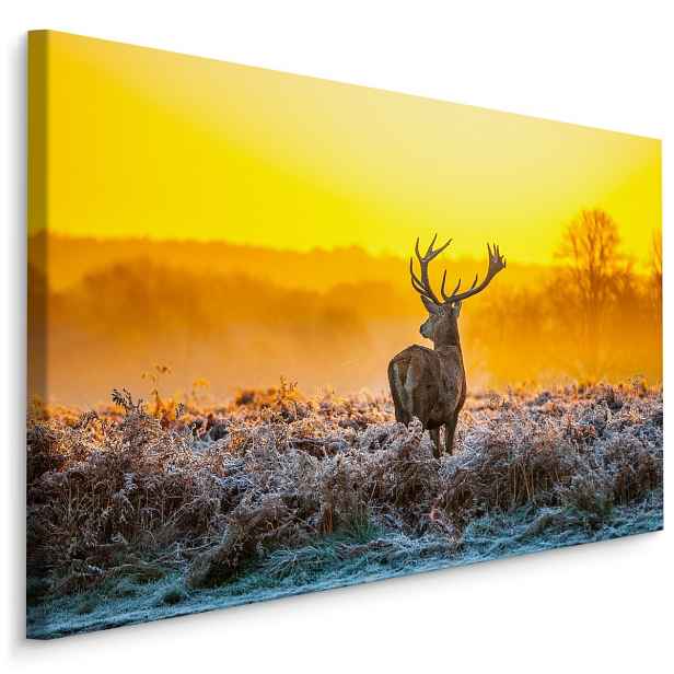 MyBestHome BOX Plátno Jelen Za Úsvitu Varianta: 70x50