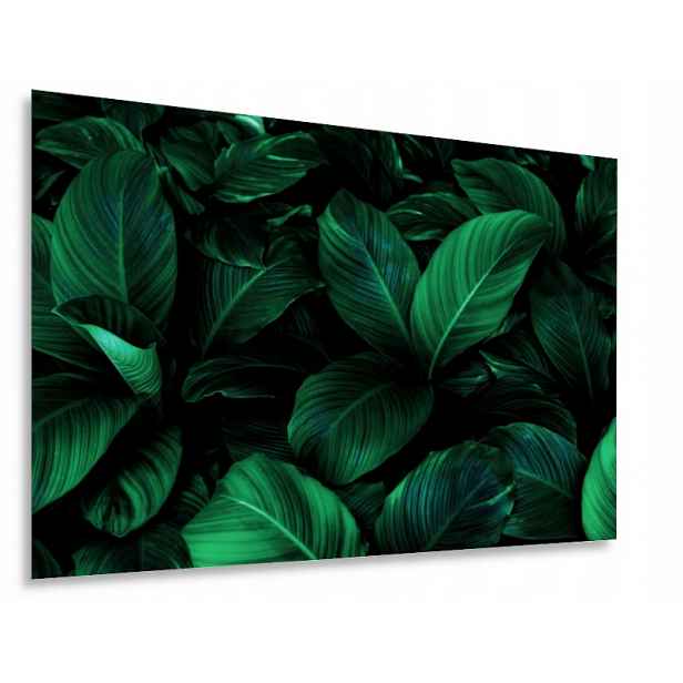 Skleněný ochranný panel s grafikou 100 x 50 cm. Uv Tisk