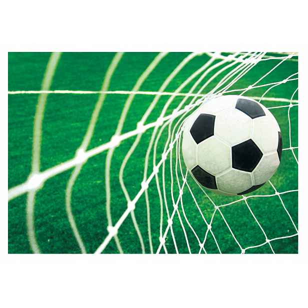 Fototapeta Mládež Fotbalová branka 416x254
