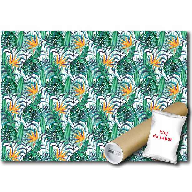 Vinylová fototapeta Monstera Strelitzia 312x219