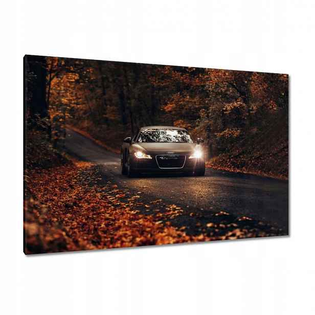 Obrazy 120x80 Audi Podzimní krajina