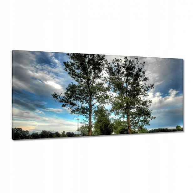 Obrazy 120x60 Venkovská cesta