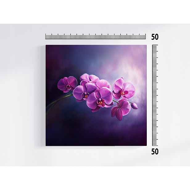 Obraz Na Plátně Canvas Příroda Květina Orchidej 50x50