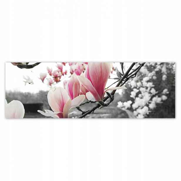 Plakáty 200x66 Magnolie Květiny