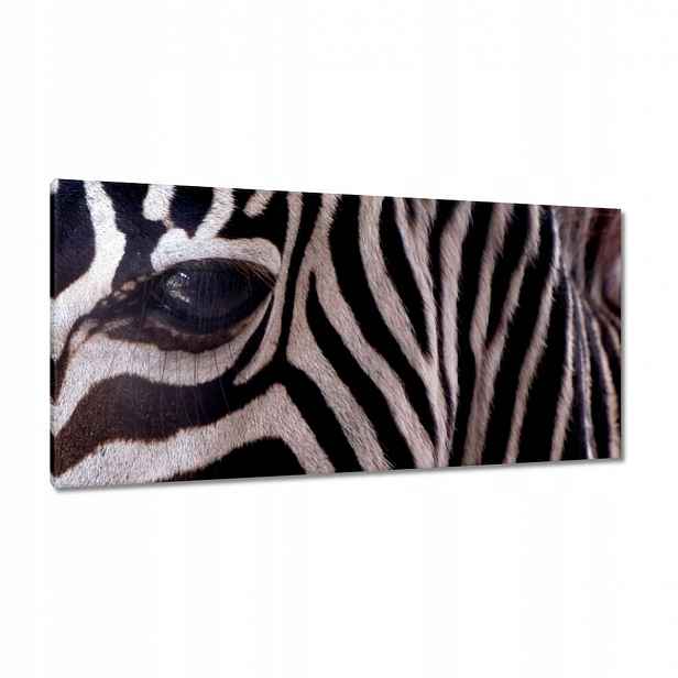 Obrazy 115x55 Makro fotografie zebra