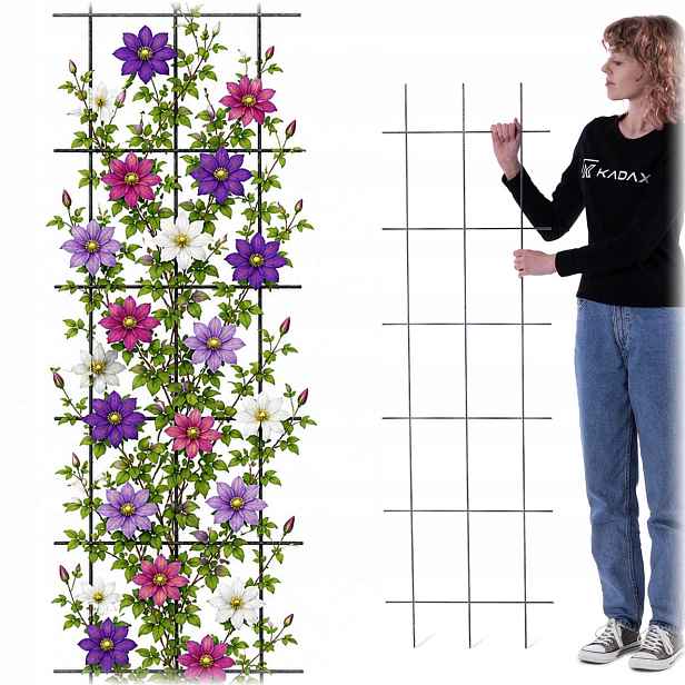 Podpěra Pro Květinové Rostliny Žebříková Podpěra Kovová Pergola 45 x 150 cm