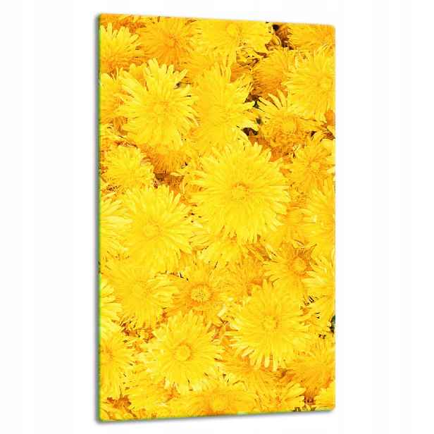 7v1 Skleněná Deska Panel Deska 30x52 Květiny