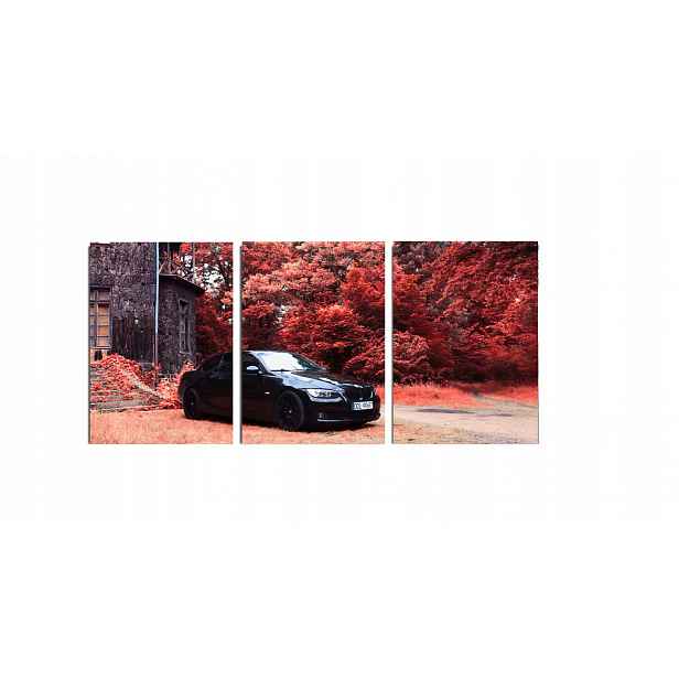Obraz na zeď sportovní auto Bmw coupe auto černý triptych 70x150 cm