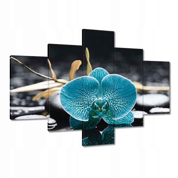Obrazy 100x70 Tyrkysový orchidej Květina