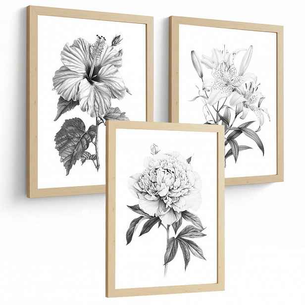 PLAKAT Sada 3 obrázků květin. Dekorativní nástěnné tisky Květiny tužkou. botanický plakát na zeď. Černobílé květinové malby.Velikost A4 bez rámu
