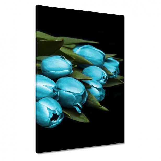 Obrazy 70x100 Tyrkysové tulipány Květina