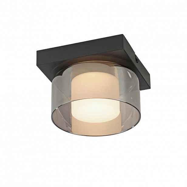 Paul Neuhaus STROPNÍ LED SVÍTIDLO, 15/15/10 cm
