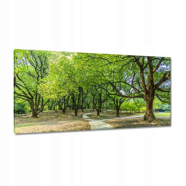 Obrazy 115x55 Zelený park s cestičkou