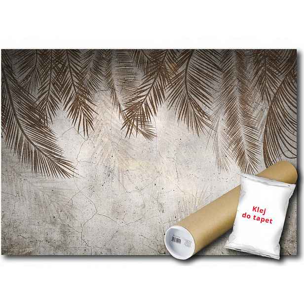 Vinylová fototapeta Listy palma beton 368x254
