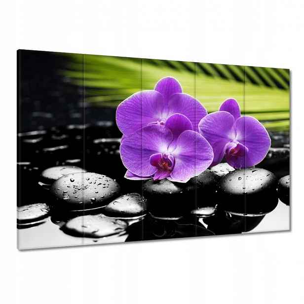 Obrazy 100x70 Fialové orchideje