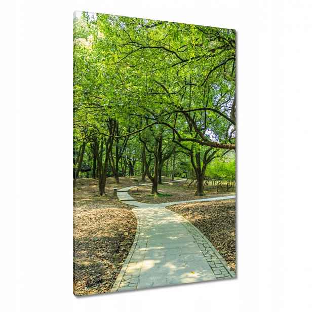 Obrazy 80x120 Zelený park s cestičkou