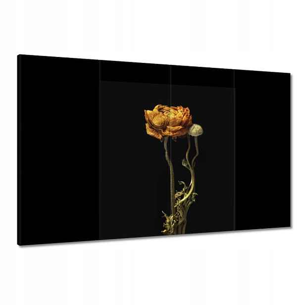 Obrazy 120x80 Sušený červený mák