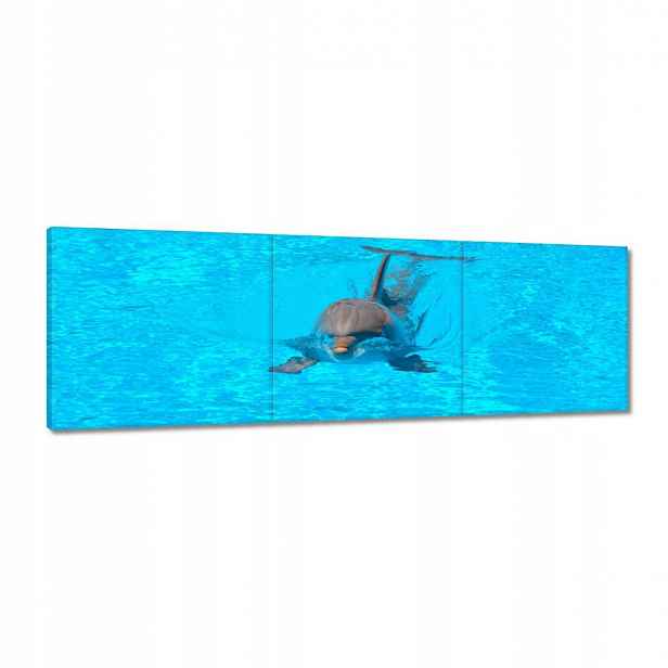 Obrazy 120x40 Delfín