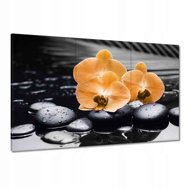 Obrazy 120x80 Oranžové orchideje