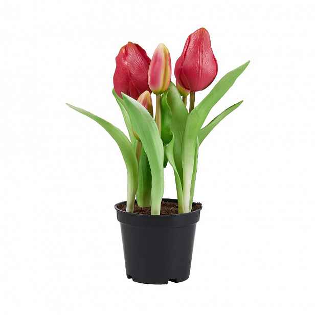 Butlers FLORISTA Tulipány "Real Touch" v květináči - růžová