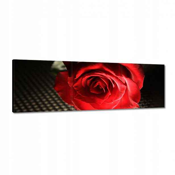 Obrazy 120x40 Zajímavý nápad
