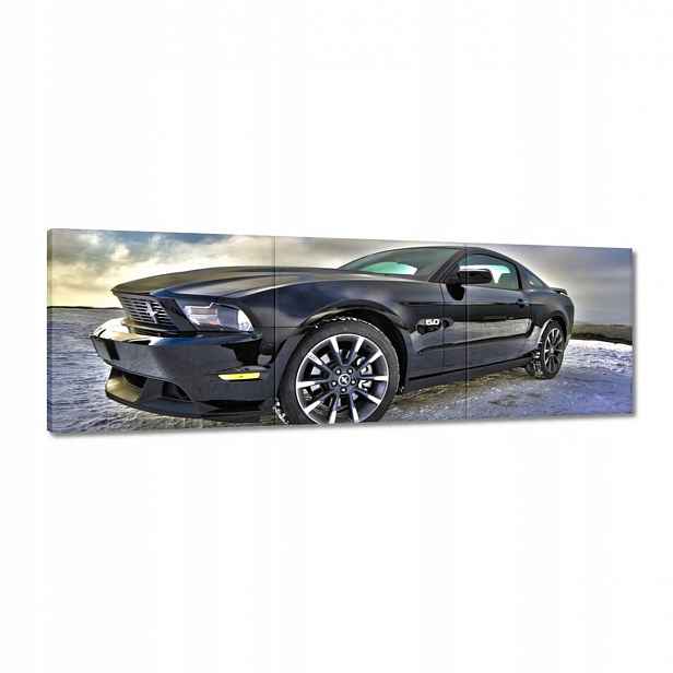 Obrazy 120x40 Ford Mustang v zimě
