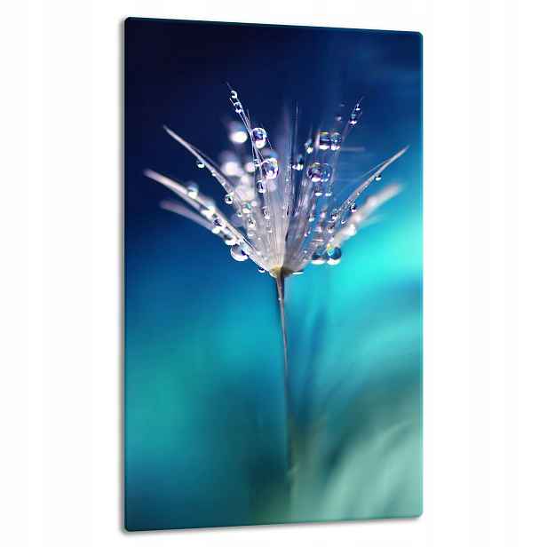 7v1 Skleněná Deska Panel Deska 30x52 Květina