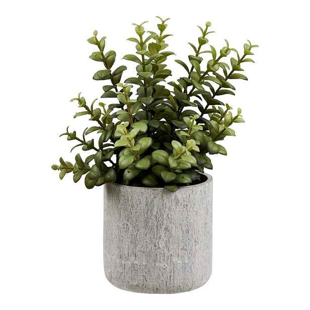 Umělá květina (výška 33,5 cm) Succulent – House Nordic