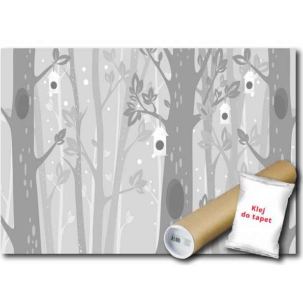 Vinylová fototapeta Les stromy dutina 152x104