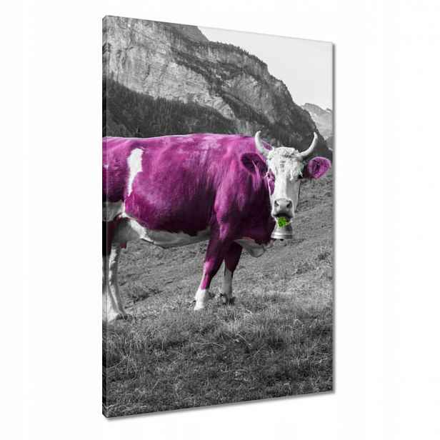 Obrazy 60x90 Fialová kráva Emilka